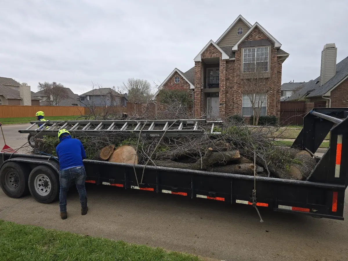 Expert Lot Clearing with proper safety equipment in Long Valley